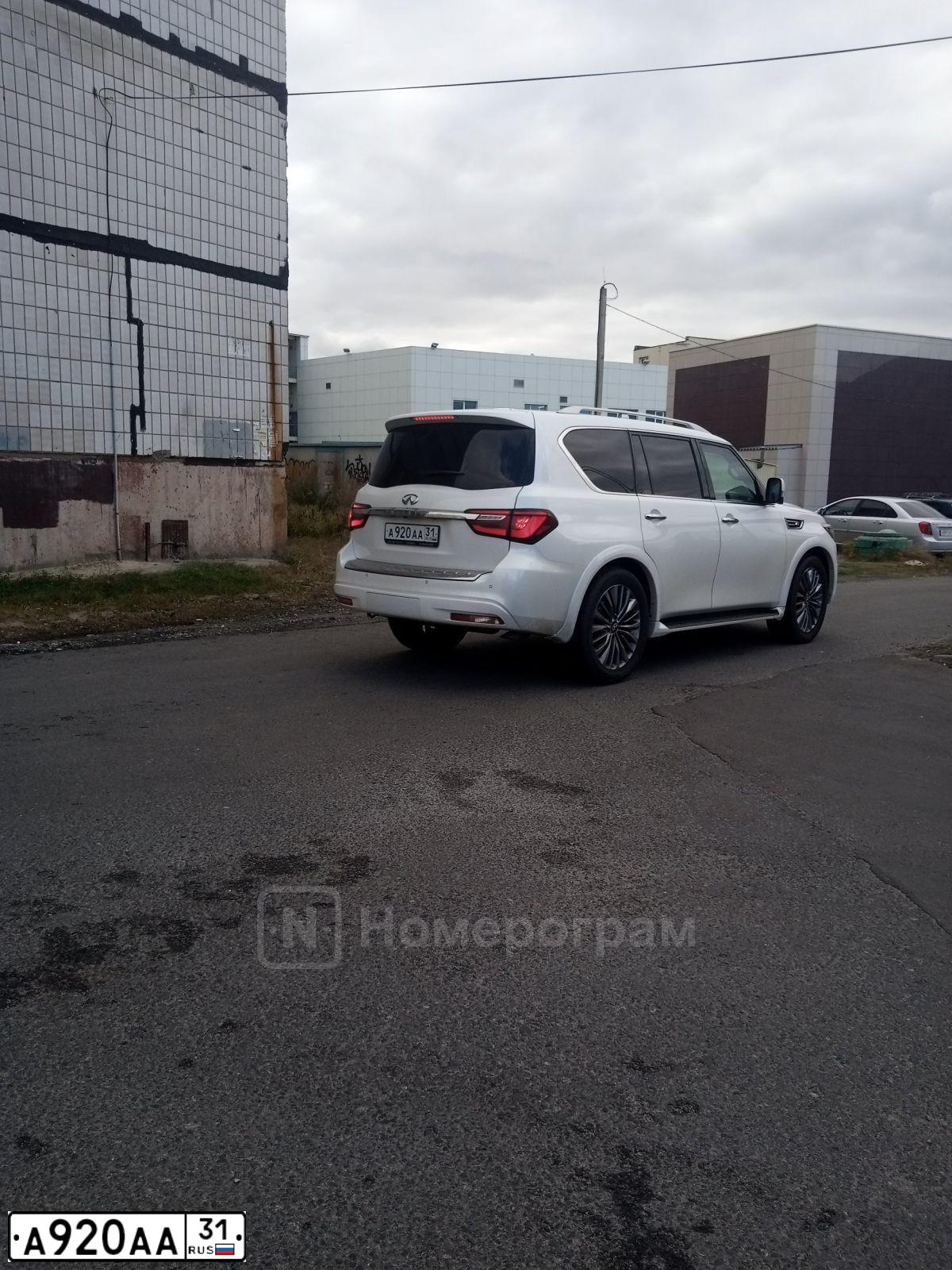 Фото автомобиля INFINITI QX80 /QX56/, 2016 — госномер Т161ХТ31. Цвет: ЧЕРНЫЙ