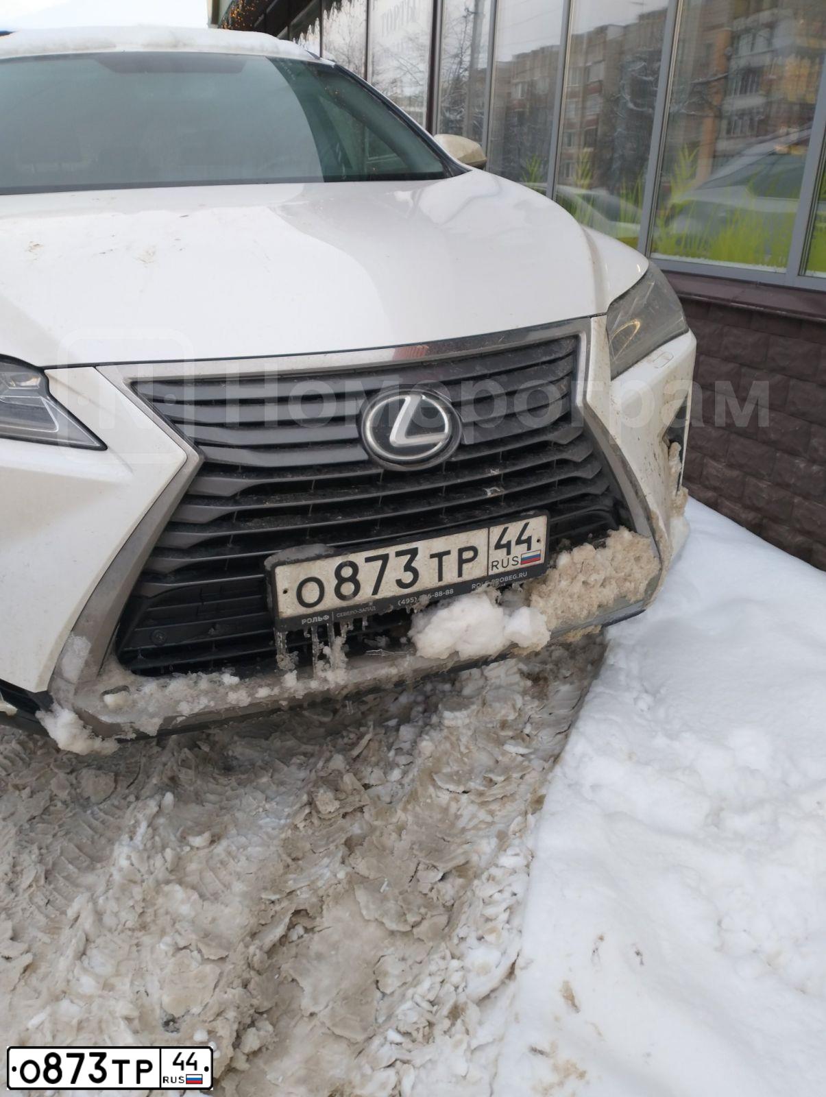 Фото автомобиля LEXUS RX, 2017 — госномер О873ТР44. Цвет: Белый