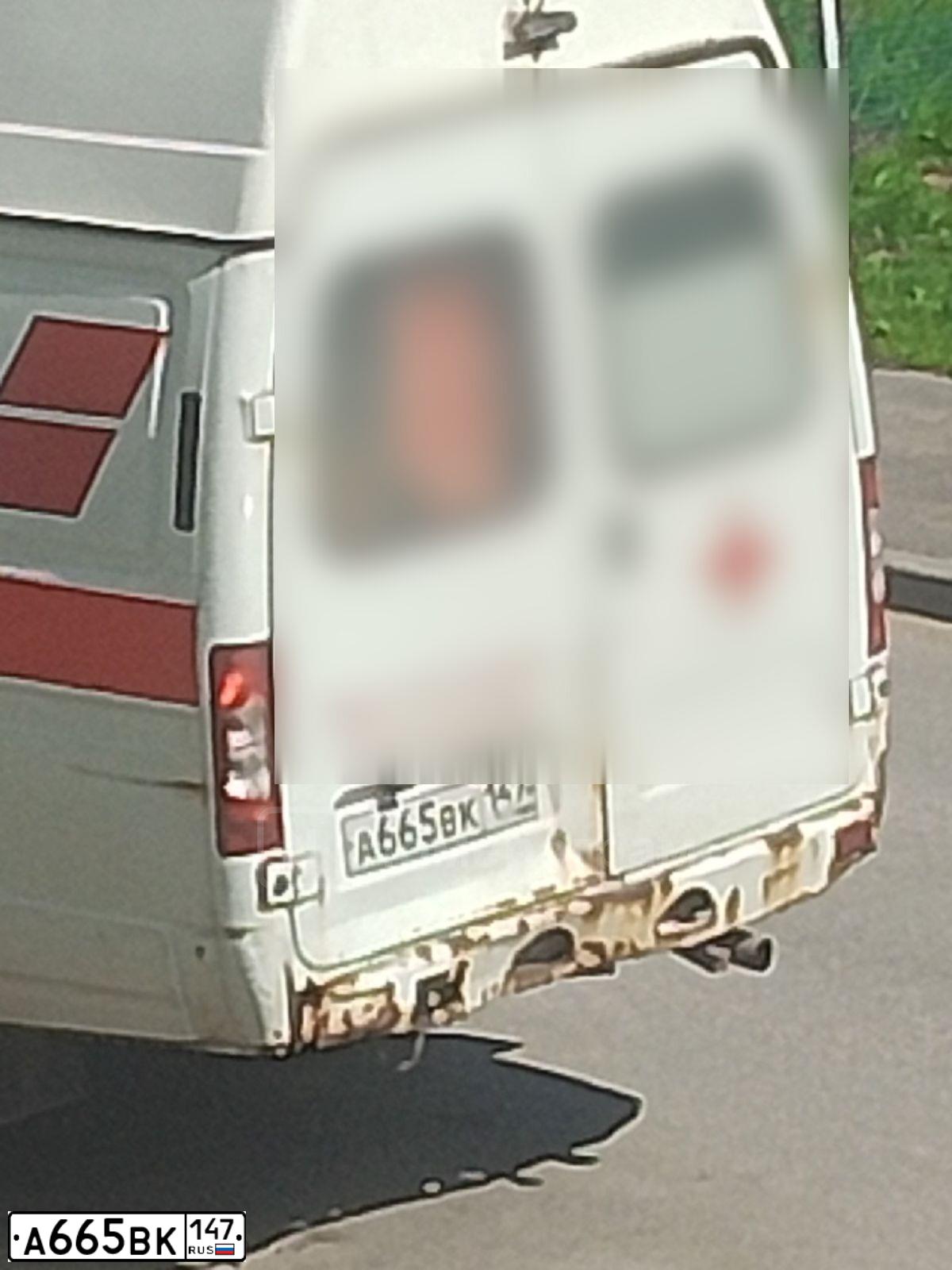 Фото автомобиля GAZ 3221 GAZEL, 2020 — госномер А665ВК147. Цвет: ЦВ СХ А1 ПО ГОСТ Р 50574-2019
