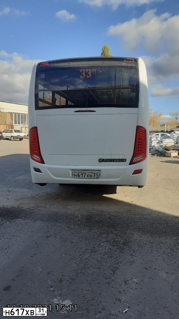 Фото автомобиля NEFAZ 3297 /MARCOPOLO/, 2013 — госномер Н617ХВ31. Цвет: БЕЛЫЙ