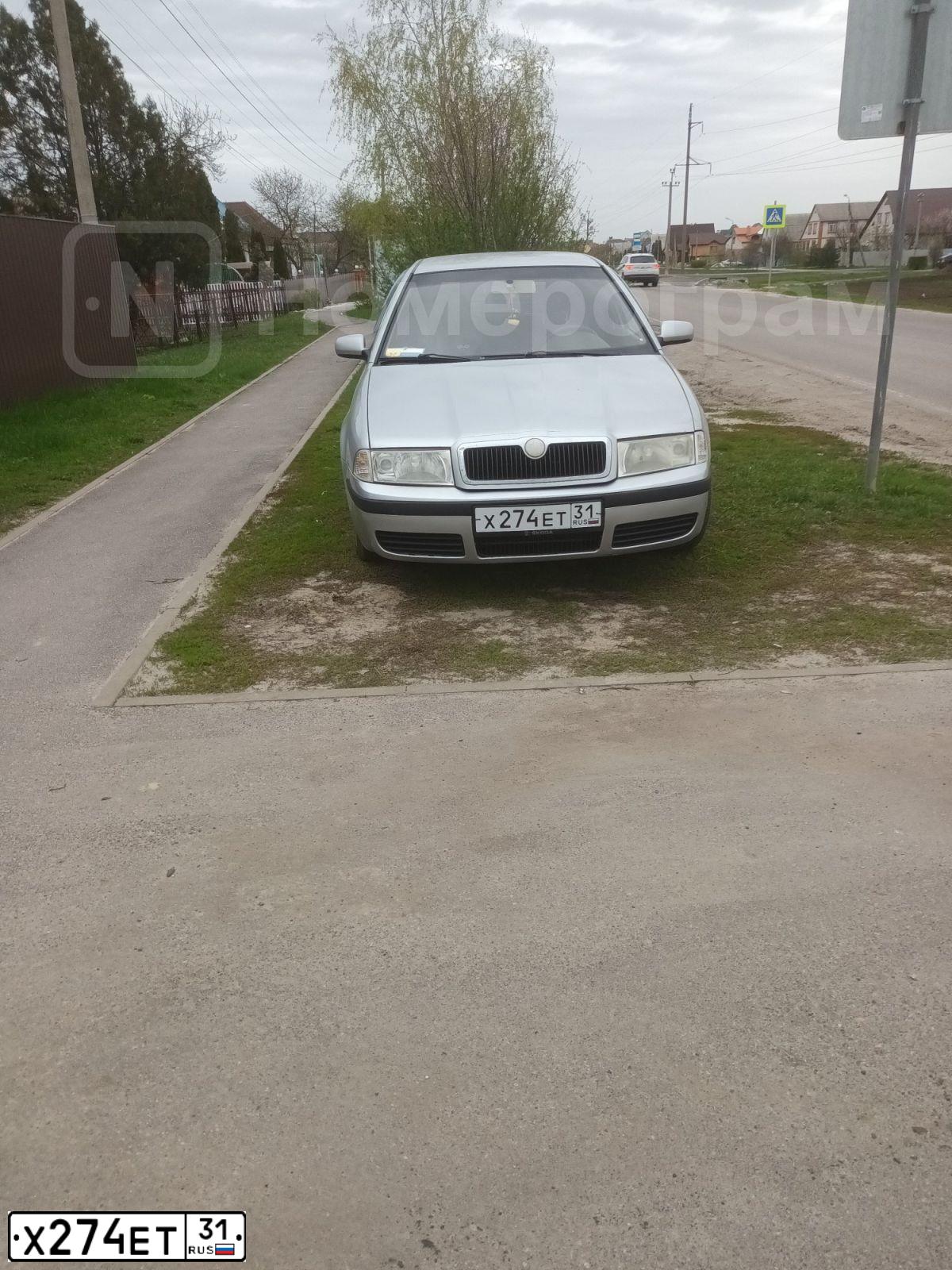 Фото автомобиля SKODA OCTAVIA, 2007 — госномер Х274ЕТ31. Цвет: СЕРЕБРИСТЫЙ