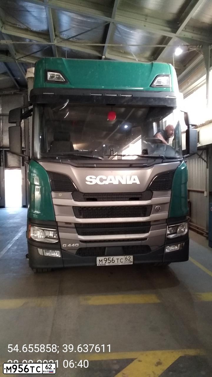 Фото автомобиля SCANIA G4X200 G440 G4Х200 G440А4Х2NА, 2021 — госномер М956ТС62. Цвет: ЗЕЛЕНЫЙ