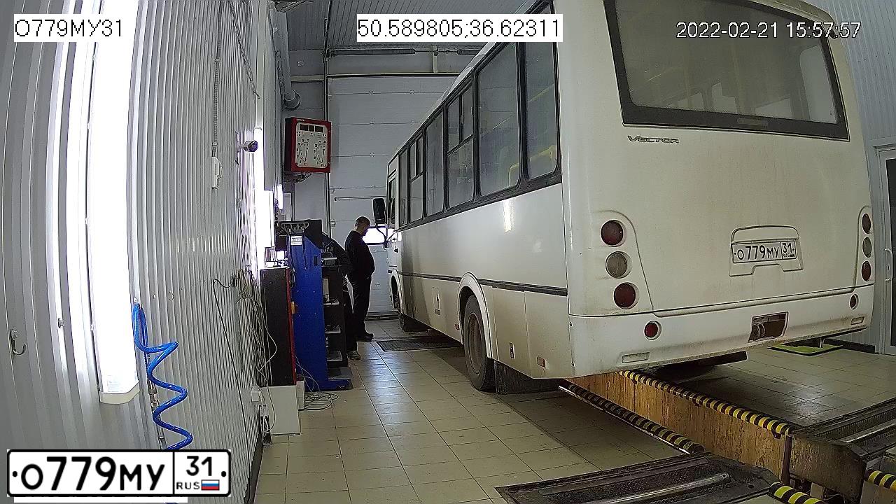 Фото автомобиля PAZ 3204, 2017 — госномер О779МУ31. Цвет: Белый