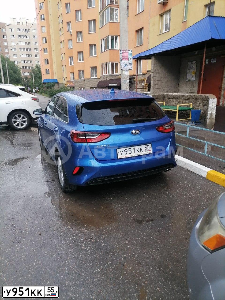 Фото автомобиля KIA CEE'D, 2019 — госномер У951КК55. Цвет: СИНИЙ
