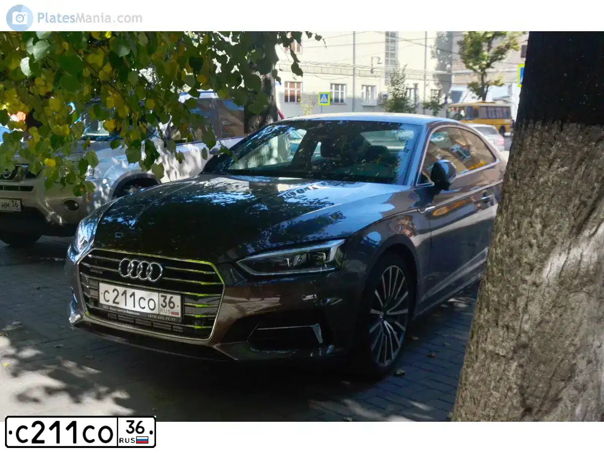 Фото автомобиля AUDI Q5, 2012 — госномер Х245АС136. Цвет: СЕРО-ЗОЛОТИСТЫЙ