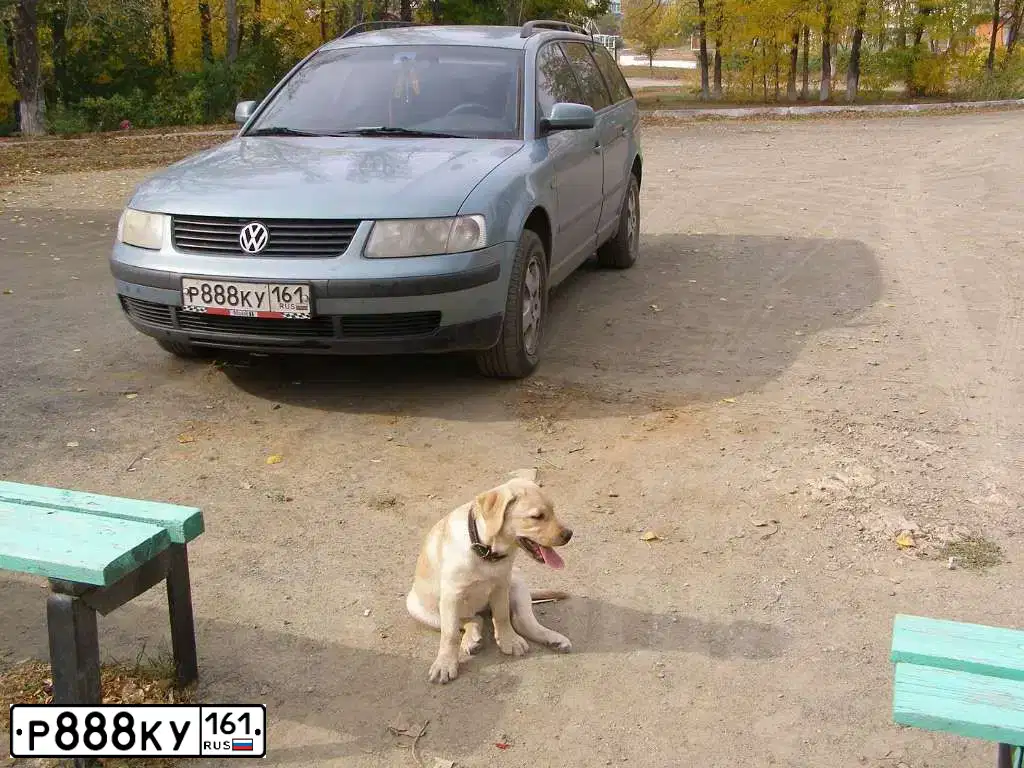 Фото автомобиля HYUNDAI IX35, 2014 — госномер У451РМ761. Цвет: ЧЕРНЫЙ