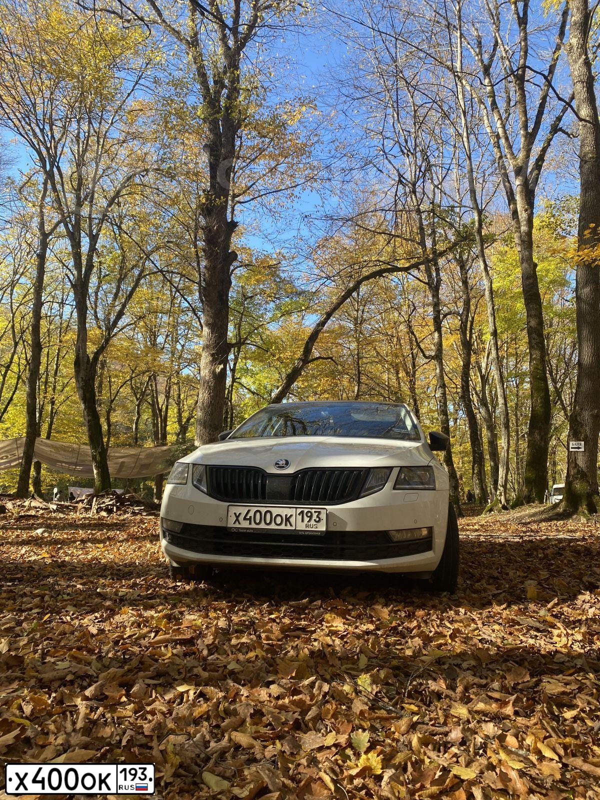 Фото автомобиля SKODA OCTAVIA, 2017 — госномер А559НА193. Цвет: Белый