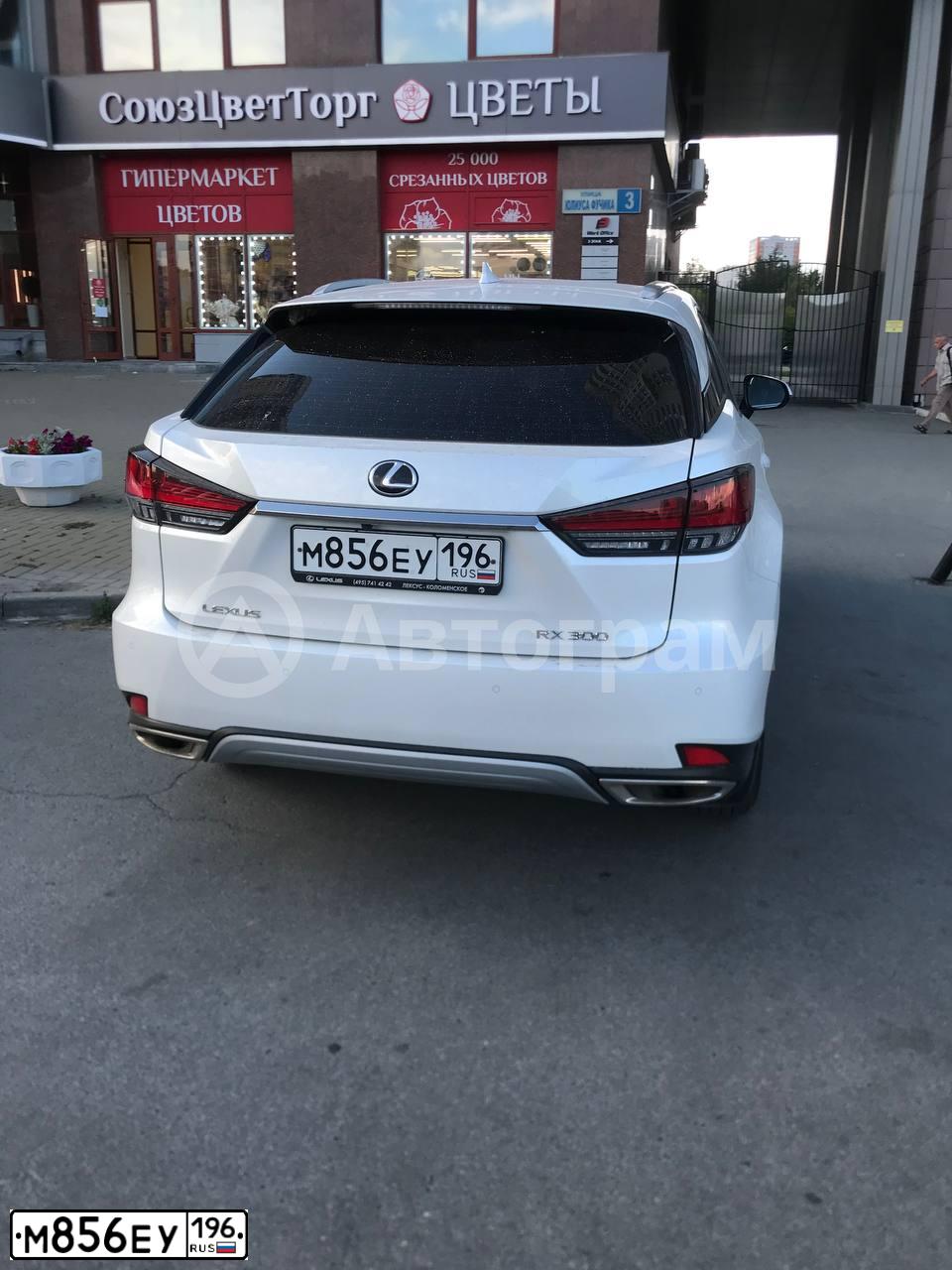 Фото автомобиля LEXUS RX, 2019 — госномер М856ЕУ196. Цвет: Белый