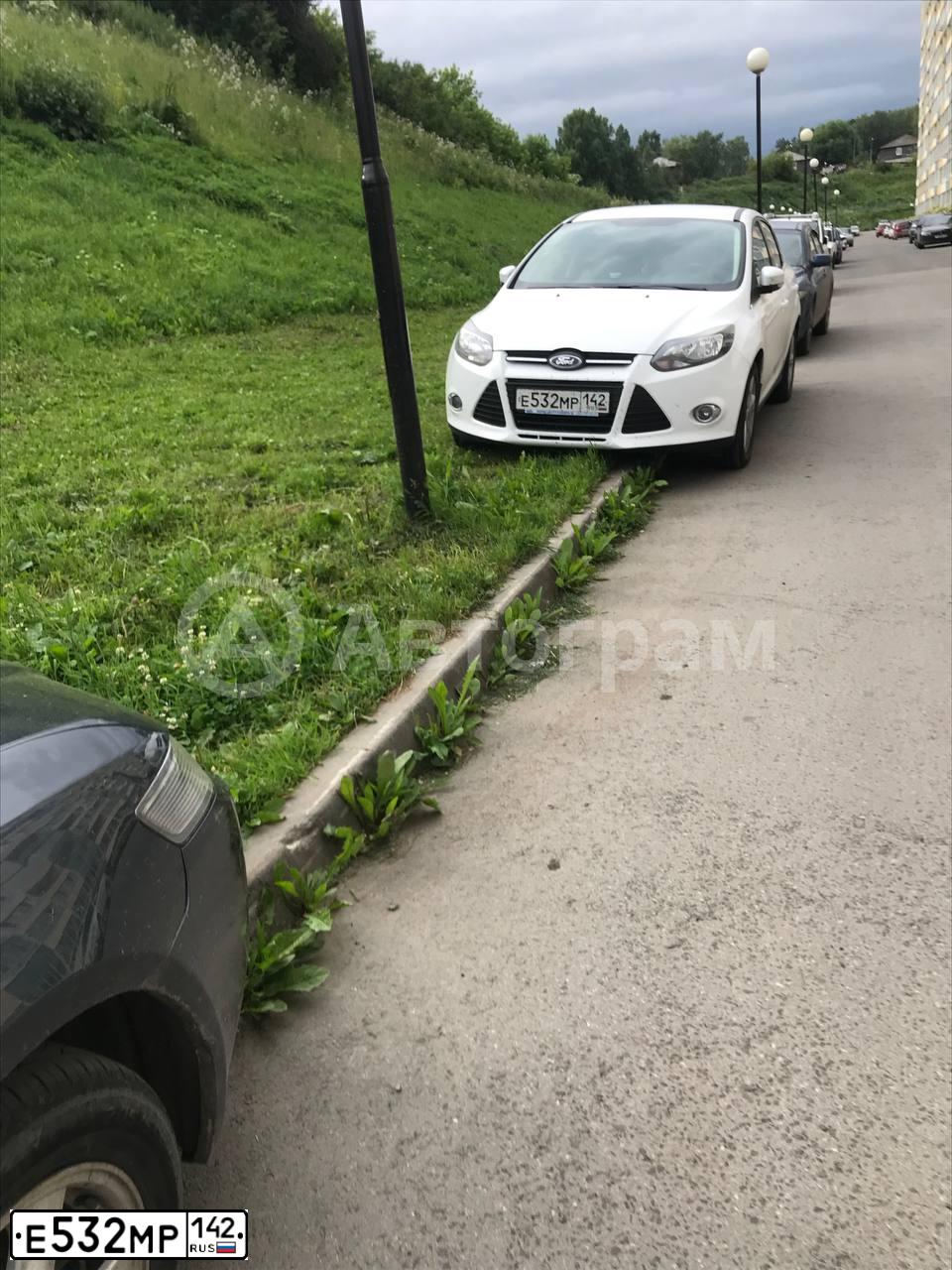 Фото автомобиля FORD FOCUS, 2012 — госномер В239ХА154. Цвет: Белый