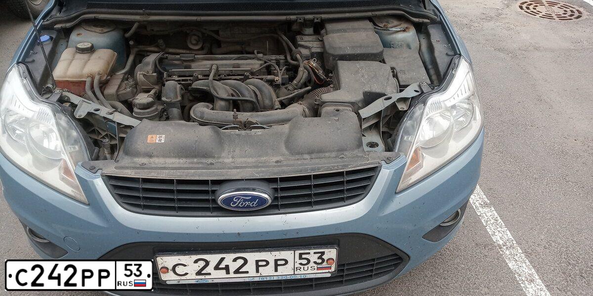 Фото автомобиля FORD FOCUS, 2009 — госномер С242РР53. Цвет: СЕРО-ГОЛУБОЙ