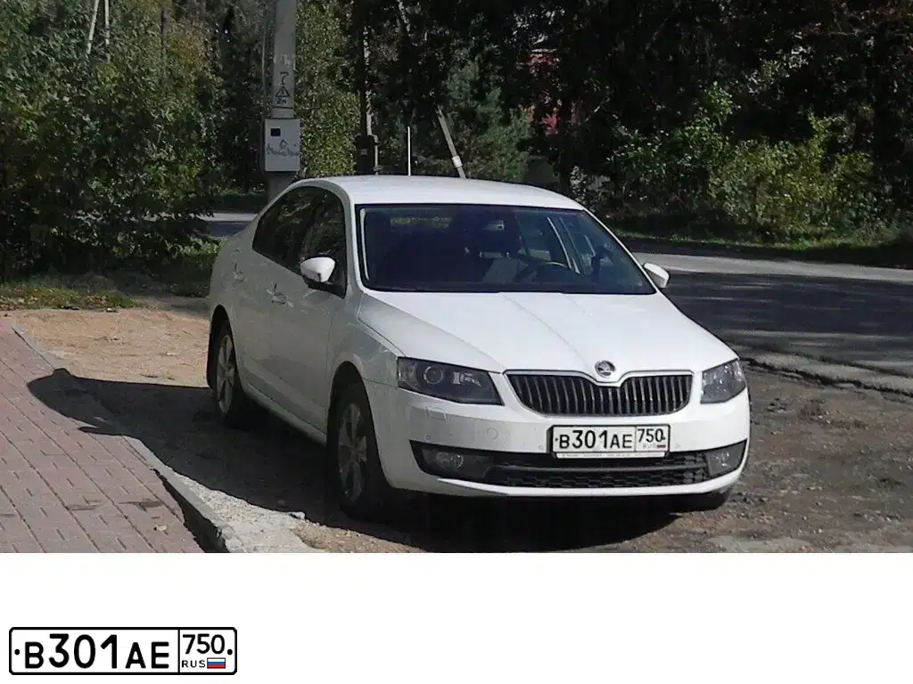 Фото автомобиля SKODA OCTAVIA, 2016 — госномер В301АЕ750. Цвет: Белый