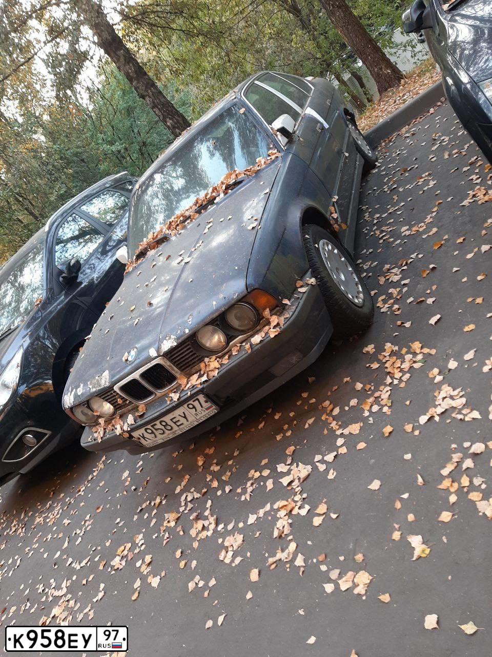 Фото автомобиля BMW SERIE 5, 1988 — госномер К958ЕУ97. Цвет: СИНИЙ