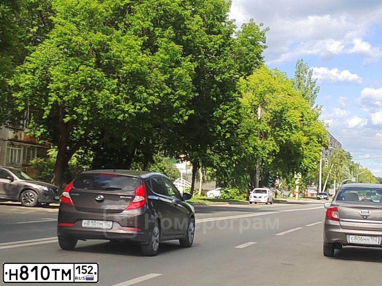 Фото автомобиля HYUNDAI SOLARIS, 2015 — госномер Н810ТМ152. Цвет: КОРИЧНЕВЫЙ