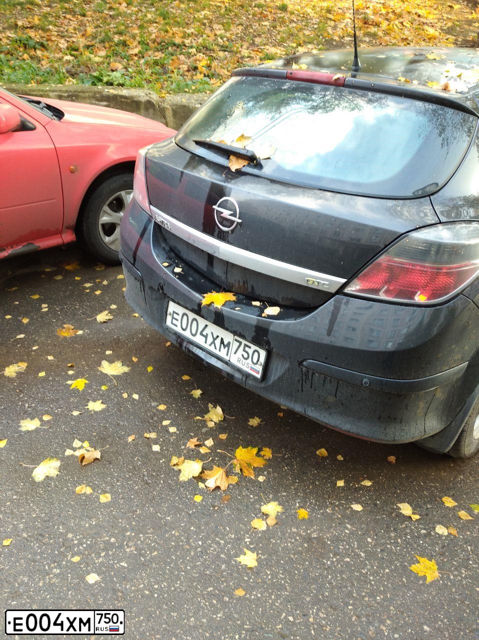 Фото автомобиля OPEL ASTRA, 2008 — госномер Р283СУ790. Цвет: ЧЕРНЫЙ