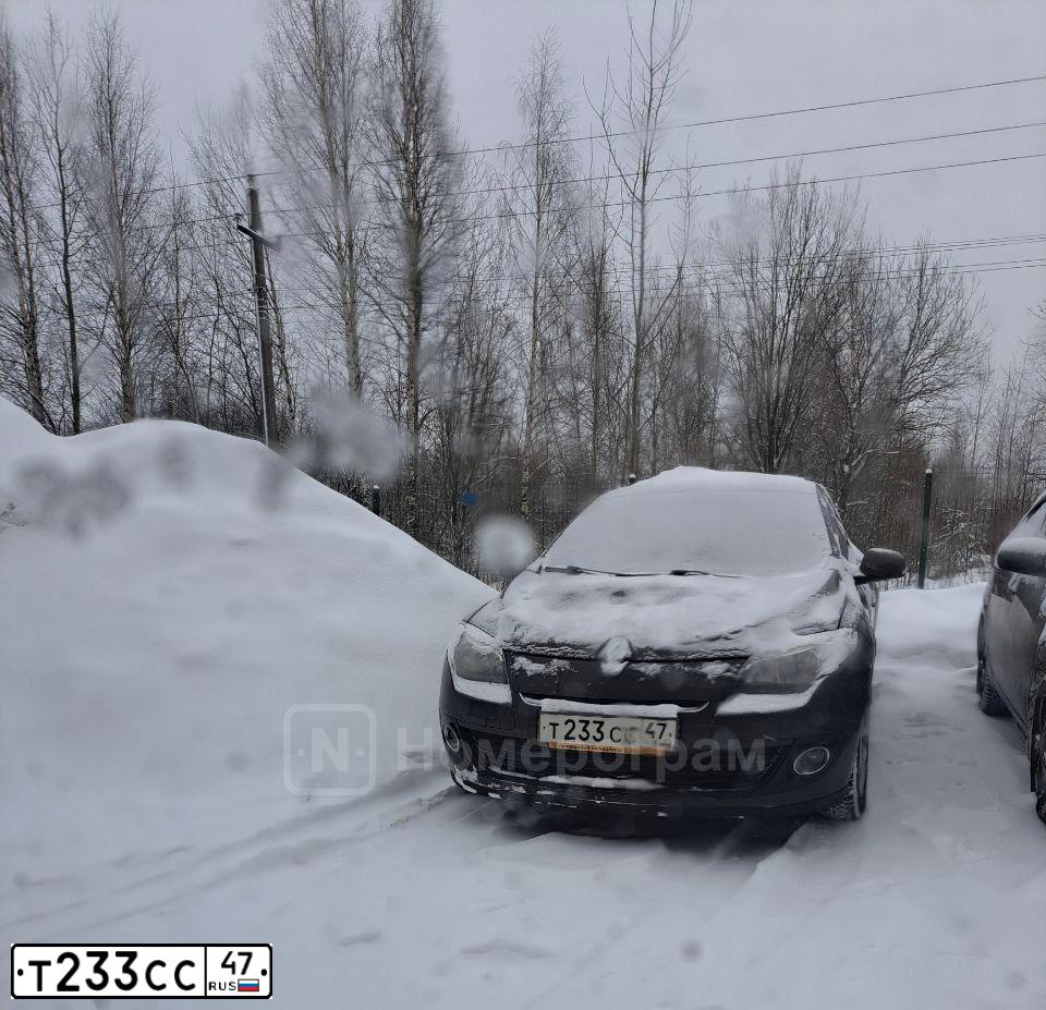 Фото автомобиля RENAULT LOGAN, 2010 — госномер Н561РВ178. Цвет: ТЕМНО-СЕРЫЙ