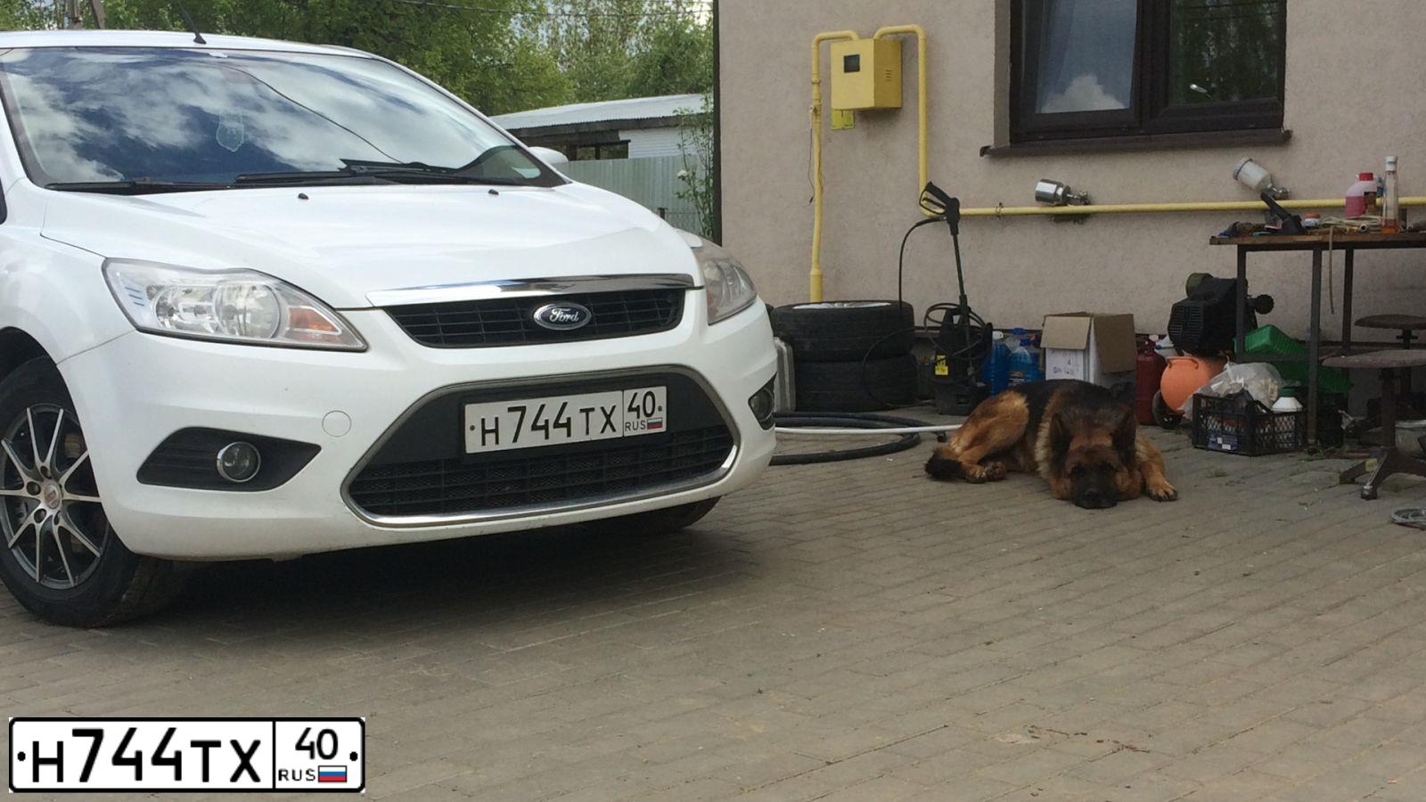 Фото автомобиля FORD FOCUS, 2009 — госномер Н744ТХ40. Цвет: Белый