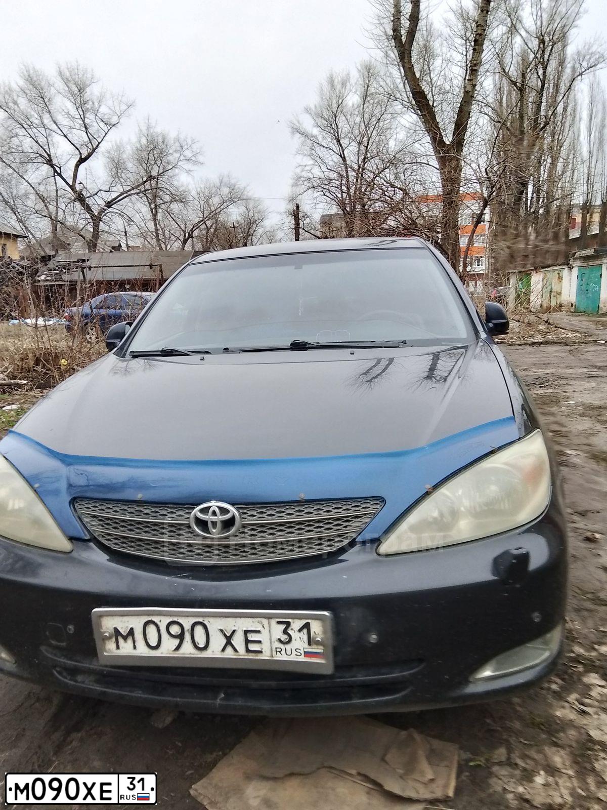 Фото автомобиля TOYOTA CAMRY, 2003 — госномер Е990УУ31. Цвет: ЧЕРНЫЙ