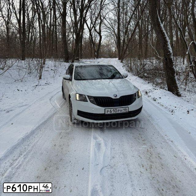 Фото автомобиля SKODA OCTAVIA, 2020 — госномер Р610РН46. Цвет: ЖЕЛТЫЙ