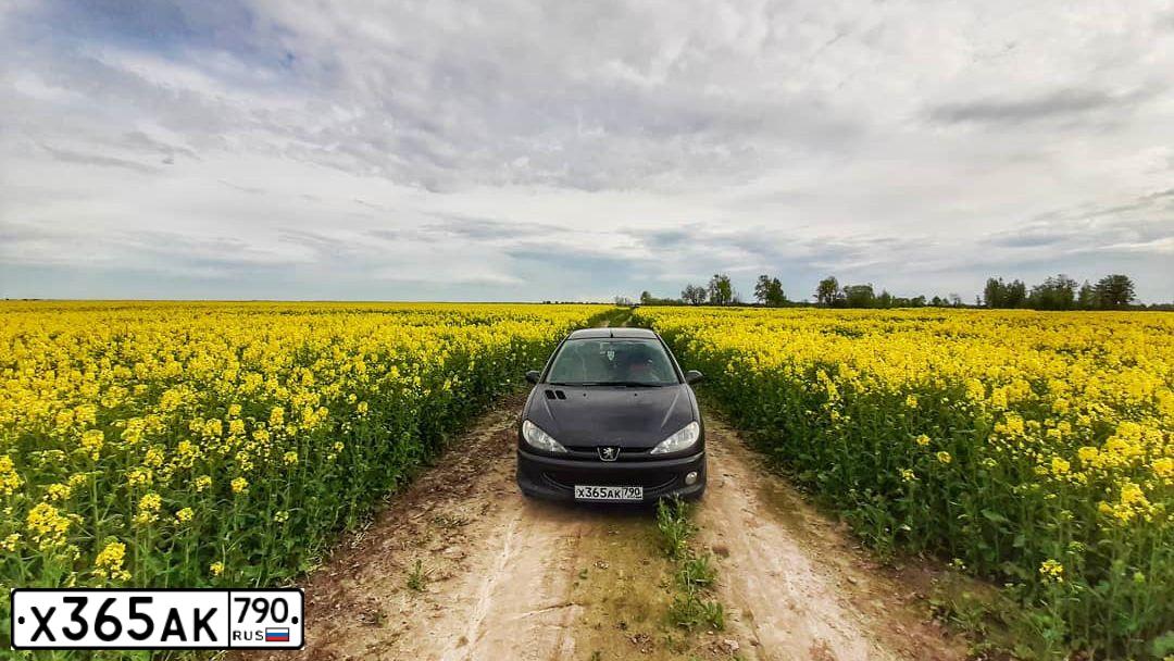 Фото автомобиля PEUGEOT 206, 2007 — госномер Т148РТ152. Цвет: ЧЕРНЫЙ
