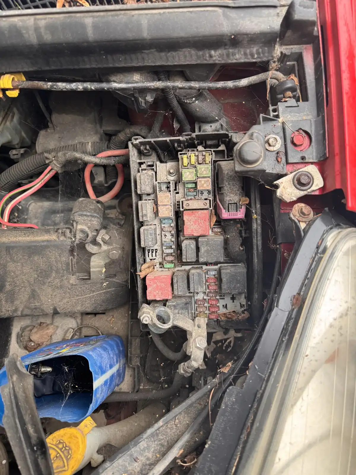 Фото автомобиля OPEL CORSA, 2007 — госномер Р184УВ750. Цвет: Красный