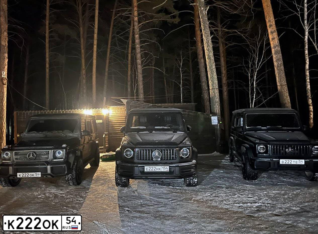 Фото автомобиля MERCEDES - BENZ БЕЗ МОДЕЛИ, 2013 — госномер М063УУ154. Цвет: СЕРЫЙ