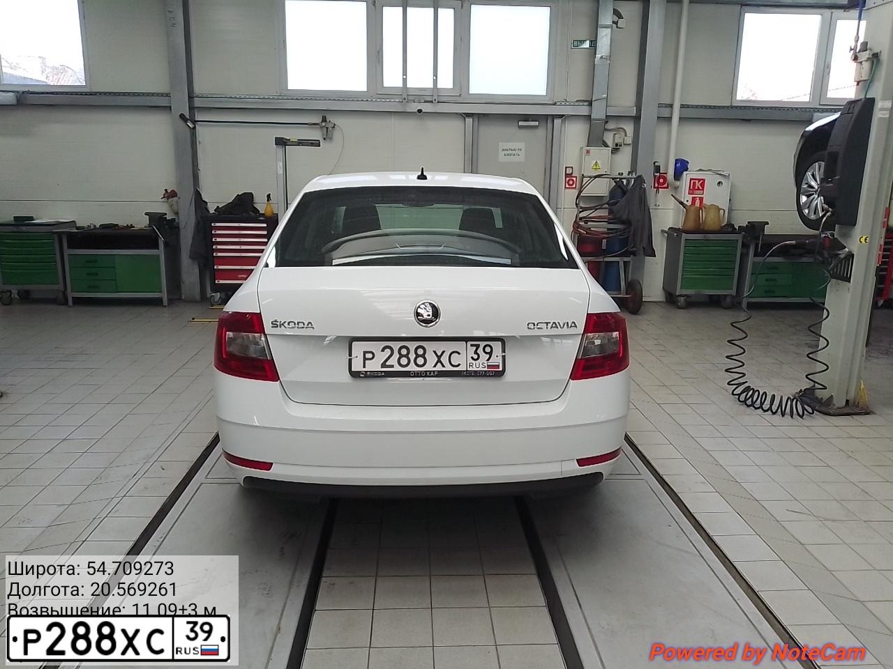 Фото автомобиля SKODA OCTAVIA, 2017 — госномер Р288ХС39. Цвет: БЕЛЫЙ