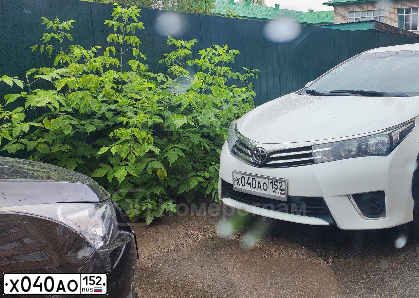 Фото автомобиля TOYOTA COROLLA, 2016 — госномер У878НС33. Цвет: Белый