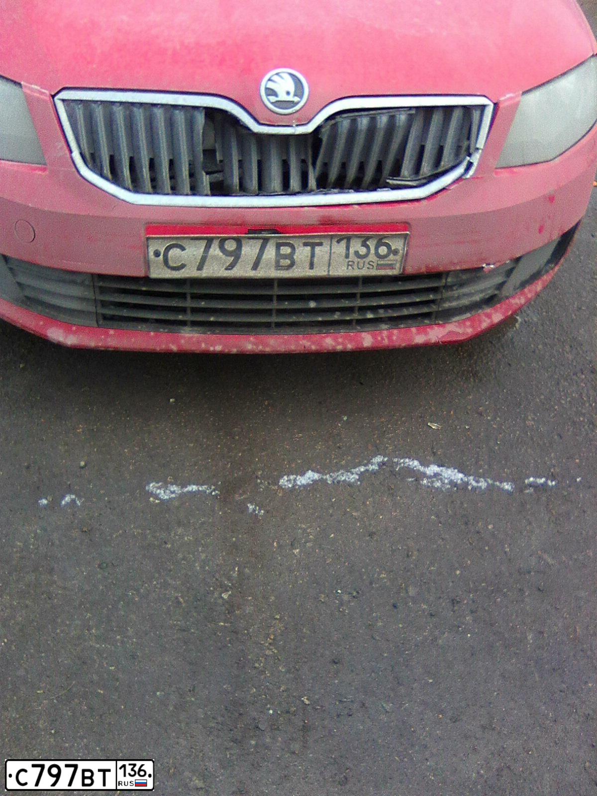 Фото автомобиля SKODA OCTAVIA, 2014 — госномер С797ВТ136. Цвет: Красный