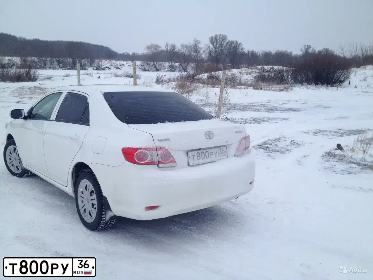 Фото автомобиля TOYOTA COROLLA, 2010 — госномер Т800РУ36. Цвет: БЕЛЫЙ