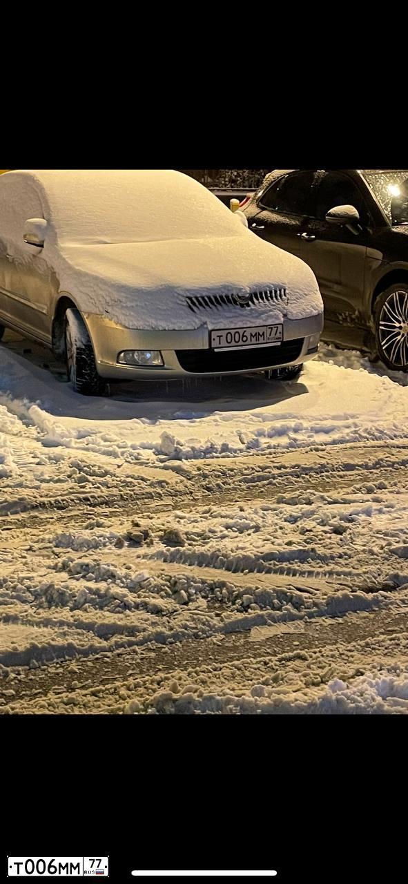 Фото автомобиля SKODA OCTAVIA, 2012 — госномер Т006ММ77. Цвет: ЖЕЛТЫЙ