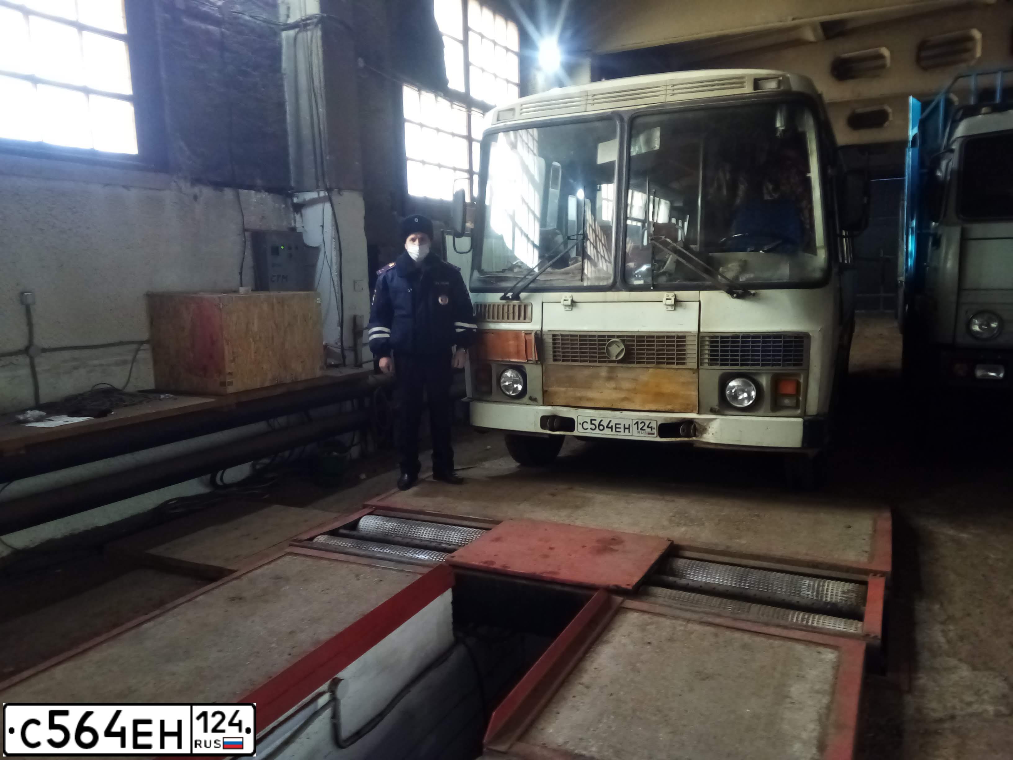 Фото автомобиля PAZ 4234, 2011 — госномер С564ЕН124. Цвет: Белый