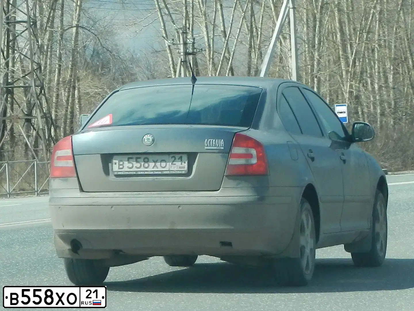 Фото автомобиля SKODA OCTAVIA, 2008 — госномер В558ХО21. Цвет: ТЕМНО-СЕРЫЙ