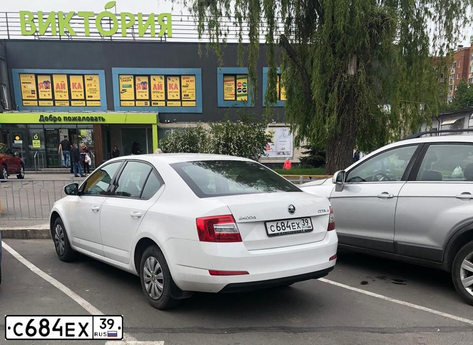 Фото автомобиля SKODA OCTAVIA, 2014 — госномер С826СН39. Цвет: БЕЛЫЙ
