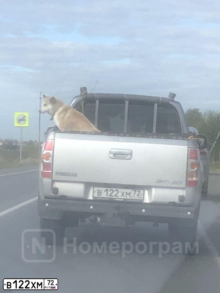 Фото автомобиля MAZDA BT-50, 2008 — госномер В122ХМ72. Цвет: СЕРЫЙ