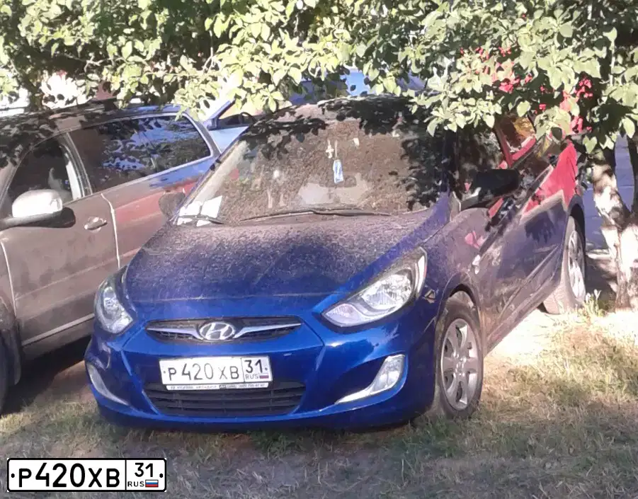 Фото автомобиля HYUNDAI SOLARIS, 2012 — госномер Р420ХВ31. Цвет: ТЕМНО-СИНИЙ