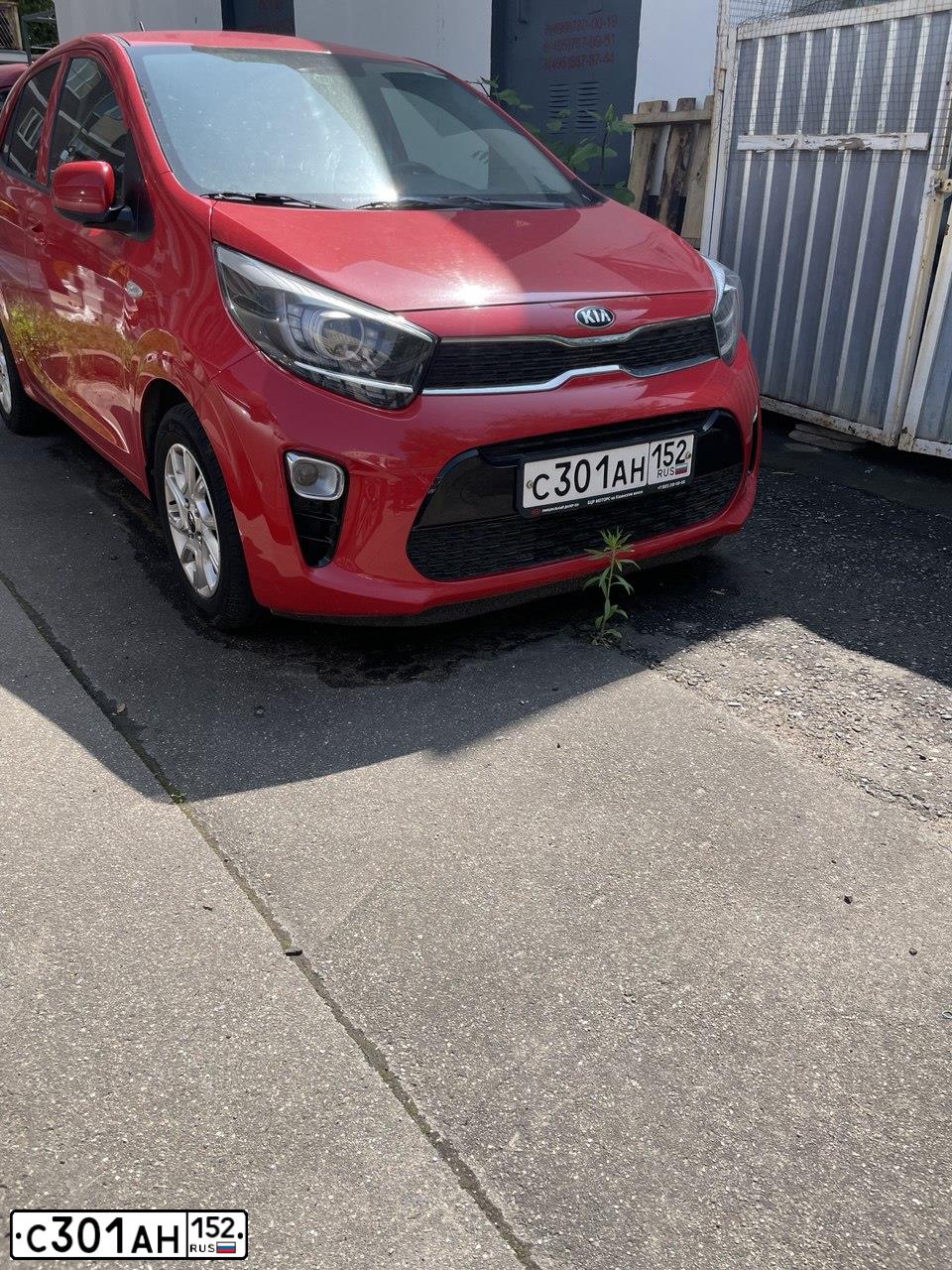 Фото автомобиля KIA PICANTO  MORNING, 2019 — госномер С301АН152. Цвет: КРАСНЫЙ