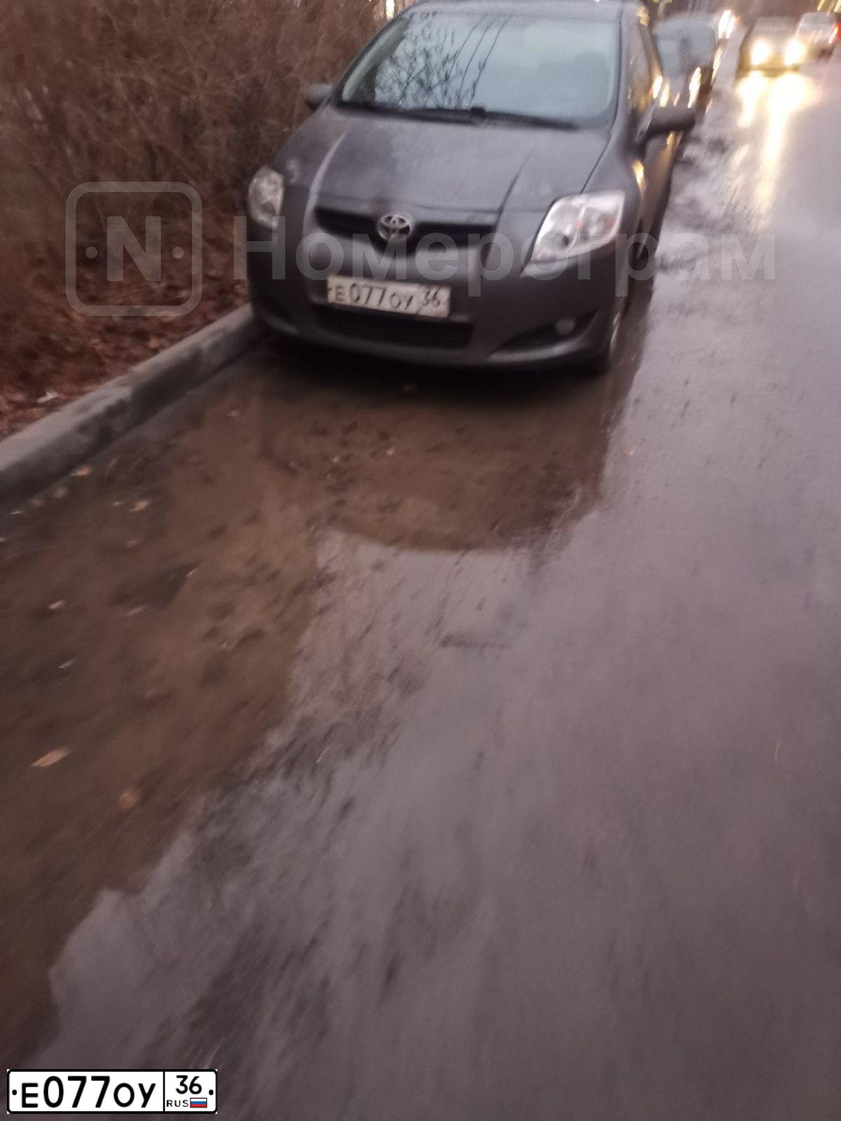Фото автомобиля TOYOTA AURIS, 2008 — госномер У077ОУ36. Цвет: СЕРЫЙ