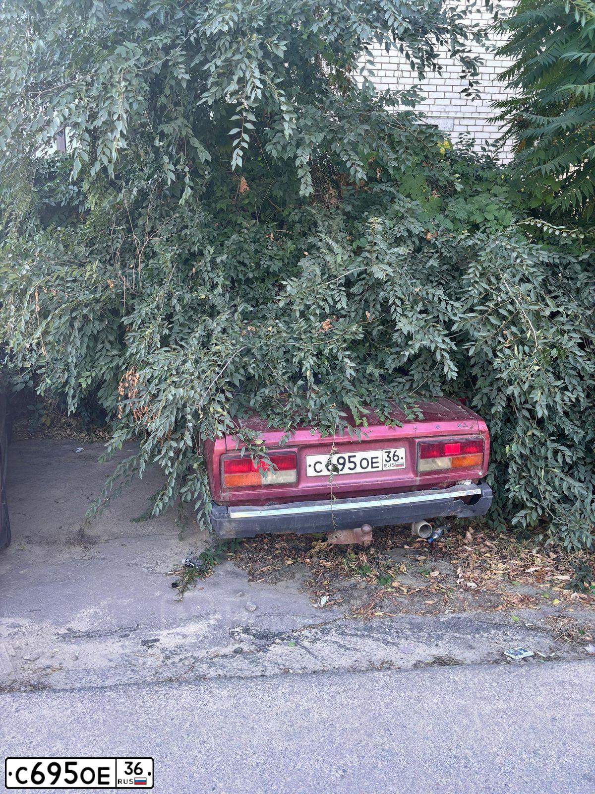Фото автомобиля LADA 2105, 1981 — госномер С695ОЕ36. Цвет: Красный