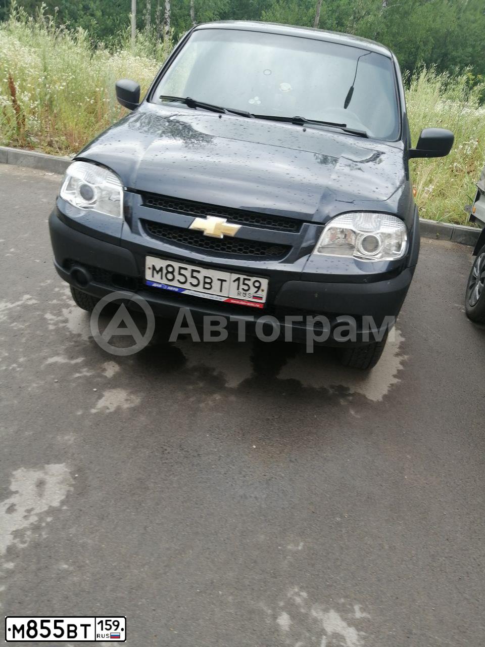 Фото автомобиля CHEVROLET NIVA, 2013 — госномер М855ВТ159. Цвет: Черно-синий металлик