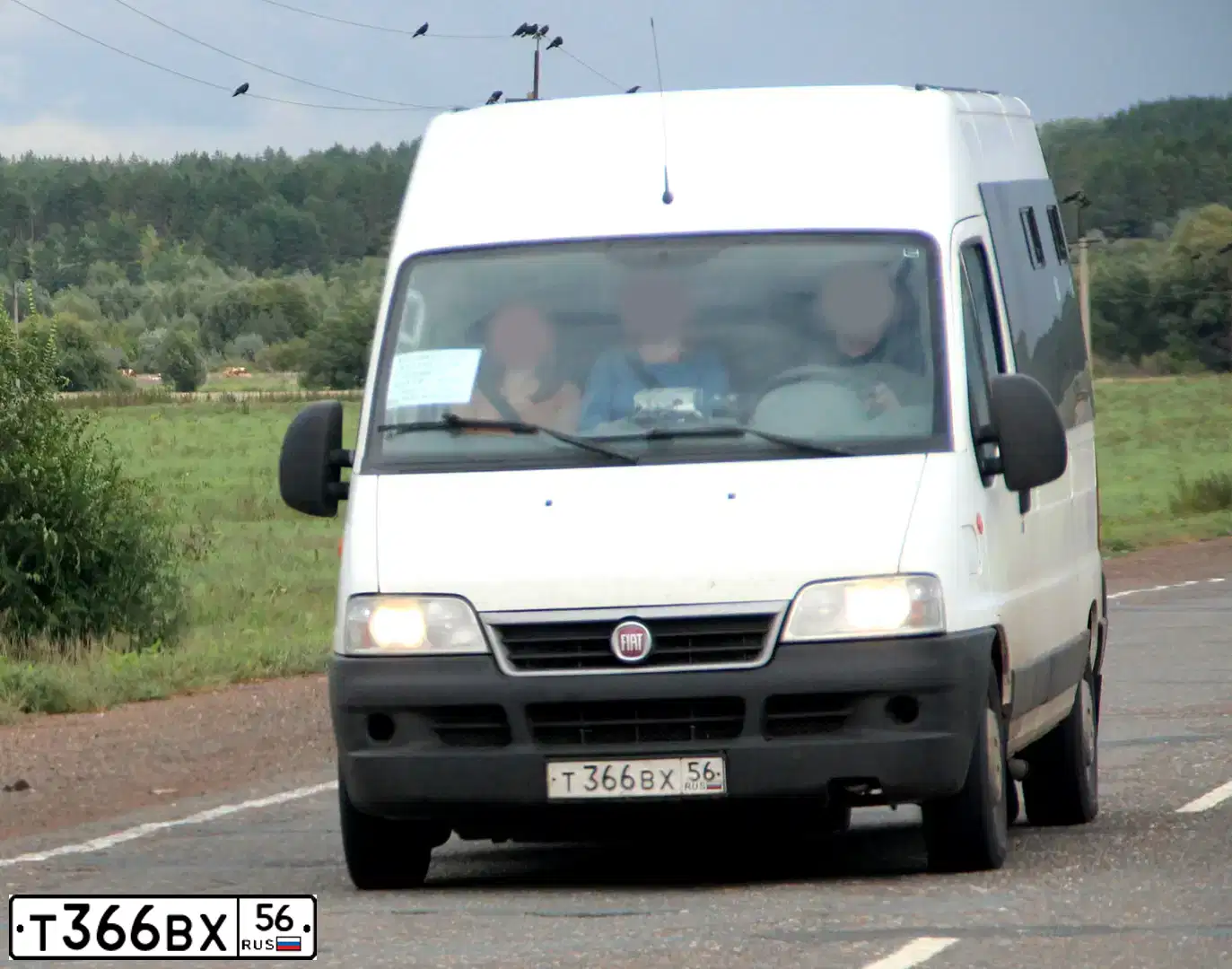 Фото автомобиля FIAT DUCATO, 2011 — госномер Т366ВХ56. Цвет: Белый
