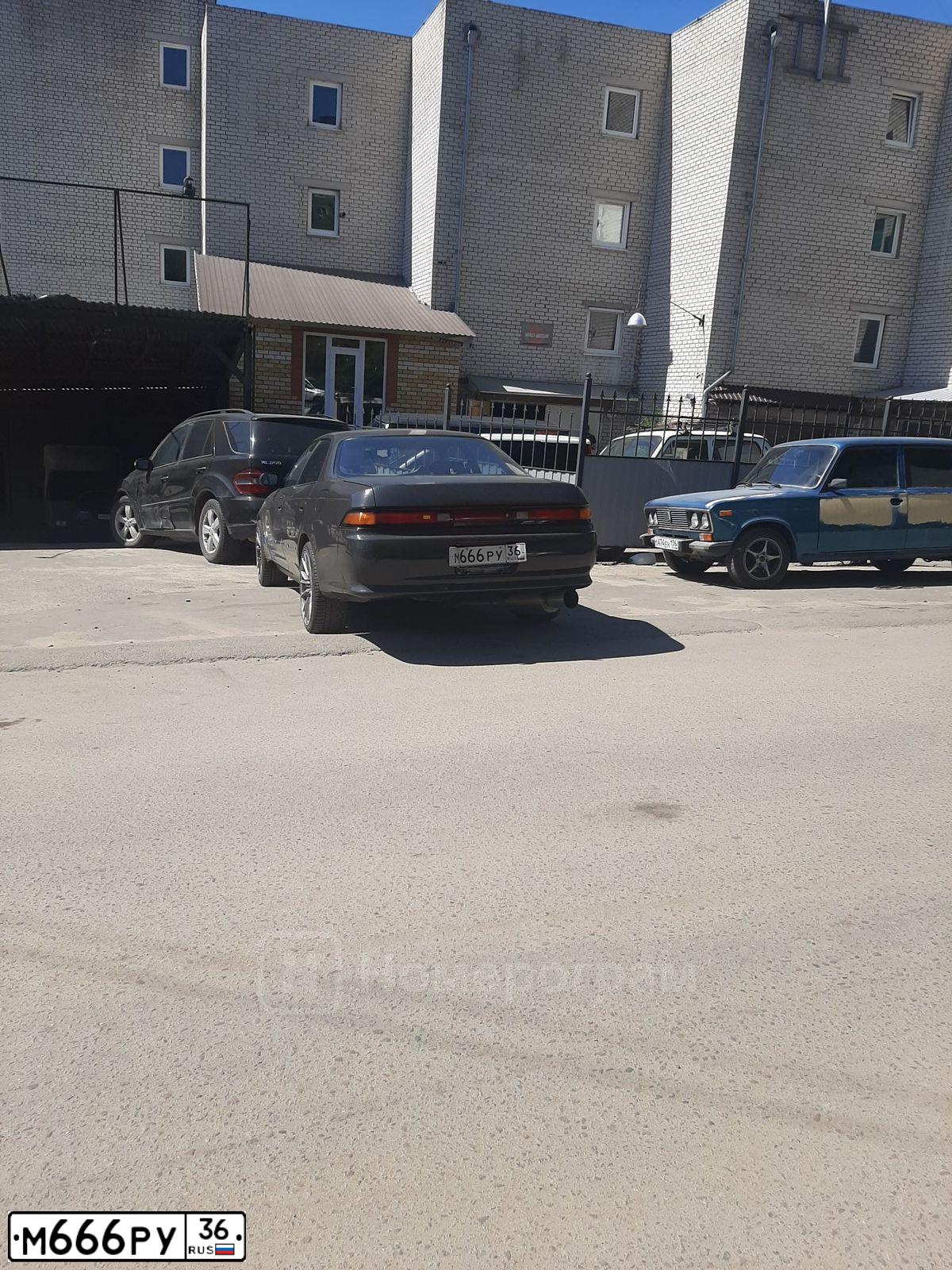 Фото автомобиля GAZ 3302 EL, 2001 — госномер М666РУ36. Цвет: БЕЛЫЙ