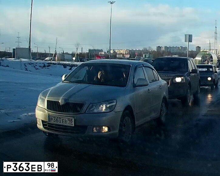 Фото автомобиля SKODA OCTAVIA, 2007 — госномер А419КЕ147. Цвет: СЕРЕБРИСТЫЙ