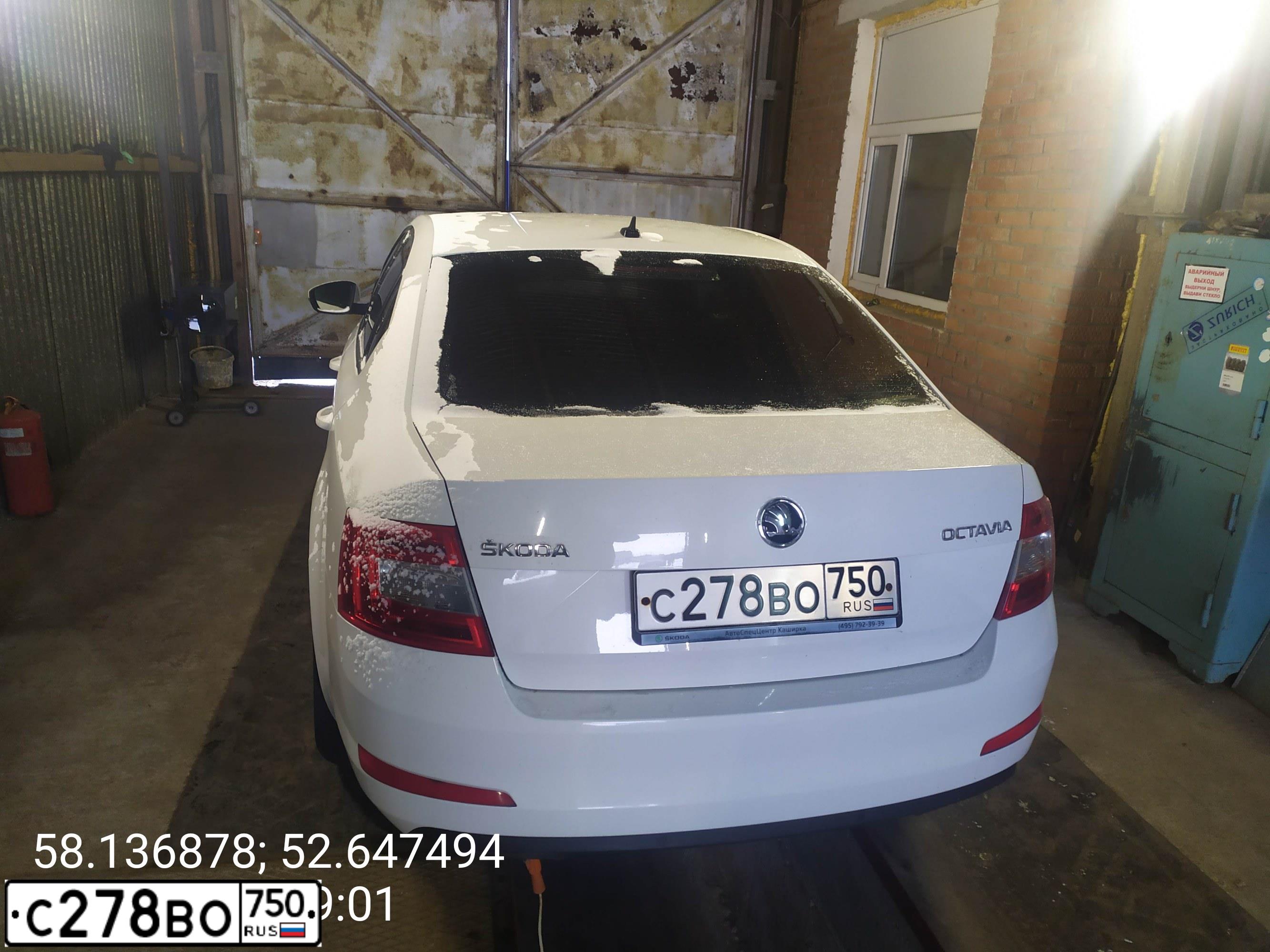Фото автомобиля SKODA OCTAVIA, 2014 — госномер Т861КТ18. Цвет: Белый