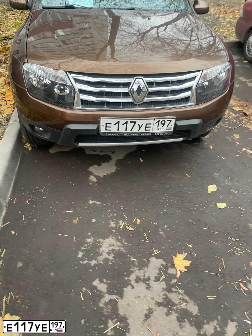 Фото автомобиля RENAULT DUSTER, 2012 — госномер Е117УЕ197. Цвет: Коричневый