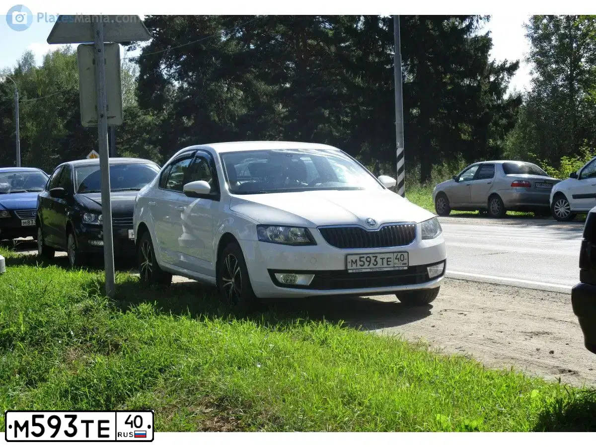 Фото автомобиля SKODA OCTAVIA, 2014 — госномер М593ТЕ40. Цвет: БЕЛЫЙ