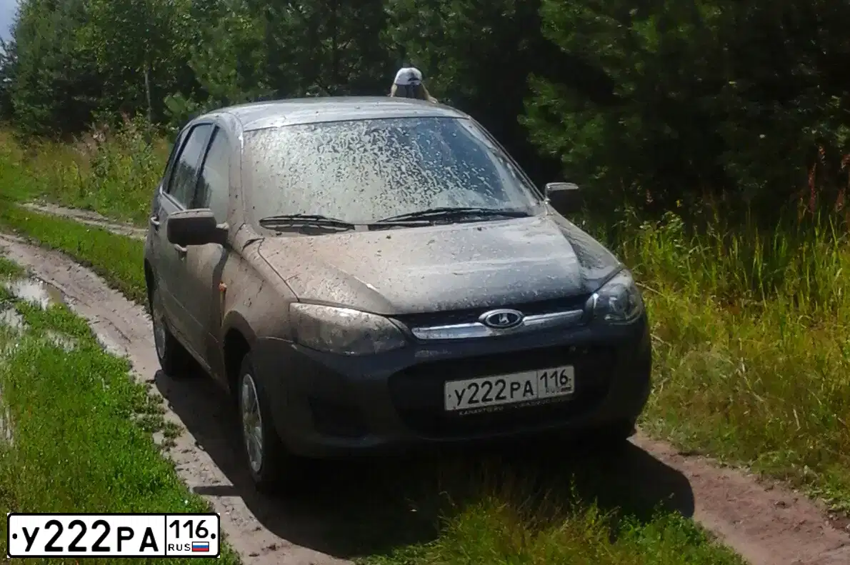 Фото автомобиля LADA KALINA, 2015 — госномер У282ХМ716