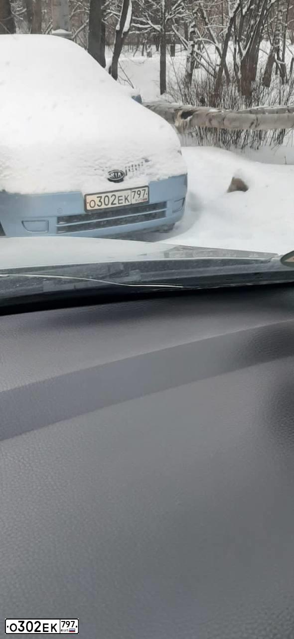 Фото автомобиля KIA PICANTO / MORNING, 2005 — госномер О277ЕТ46. Цвет: Светло-Серо-Голубой