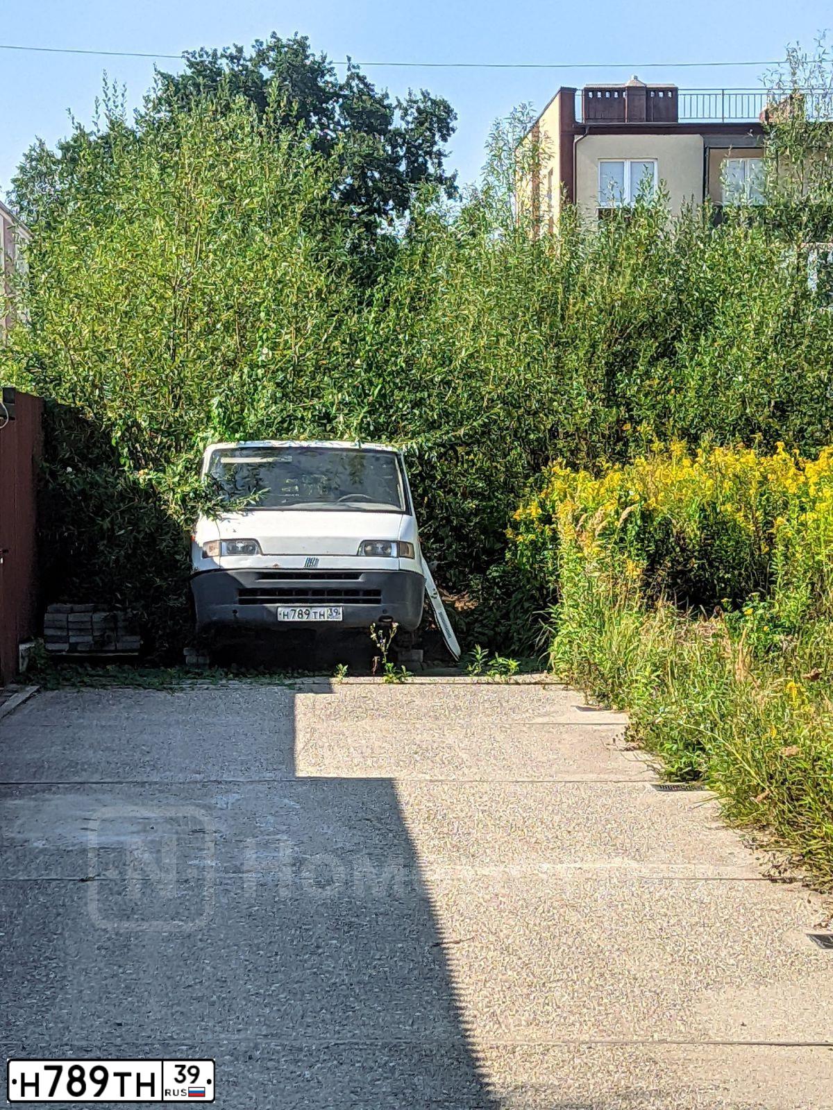 Фото автомобиля FIAT DUCATO, 1999 — госномер Н789ТН39. Цвет: Белый