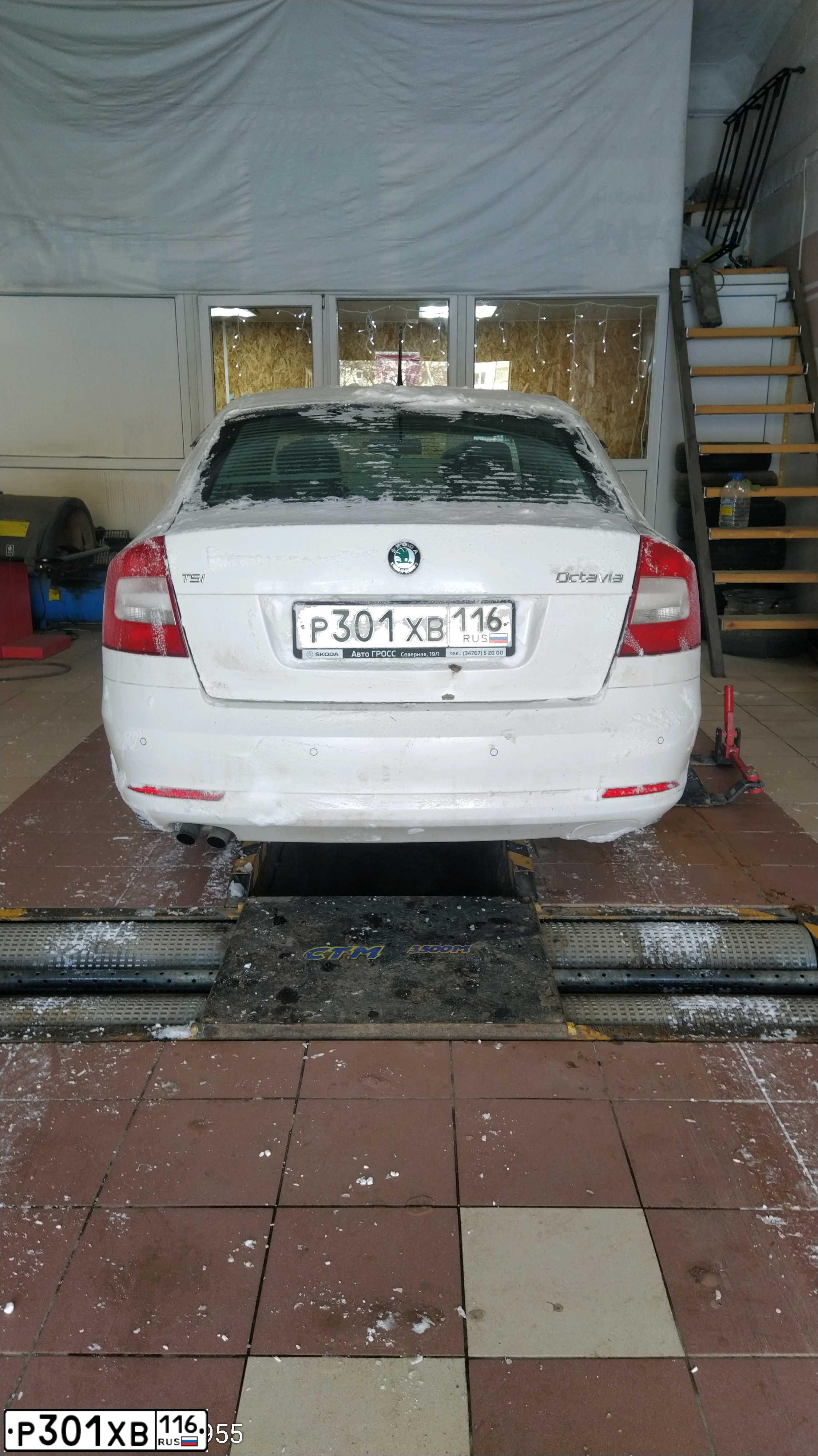 Фото автомобиля SKODA OCTAVIA, 2012 — госномер Р301ХВ116. Цвет: БЕЛЫЙ