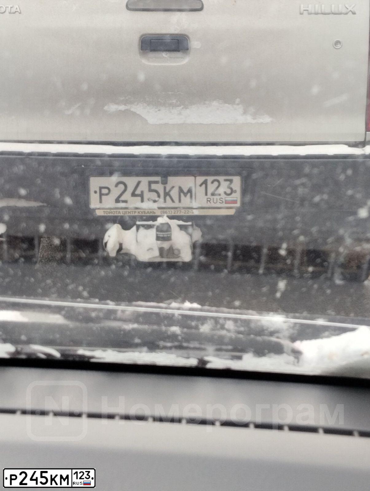 Фото автомобиля TOYOTA HILUX, 2012 — госномер Р245КМ123. Цвет: серебристый